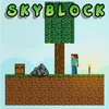 Skyblock